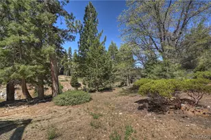 1132 Teton Dr, Big Bear Lake, CA 92315 - Photo 9