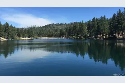 33350 Iris Drive, Green Valley Lake, CA 92341 - Photo 5