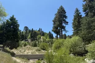 33285 Angeles Dr, Green Valley Lake, CA 92341 - Photo 25