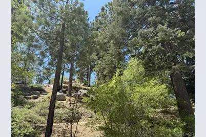 33285 Angeles Drive, Green Valley Lake, CA 92341 - Photo 29