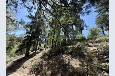 33285 Angeles Drive, Green Valley Lake, CA 92341 - Photo 21