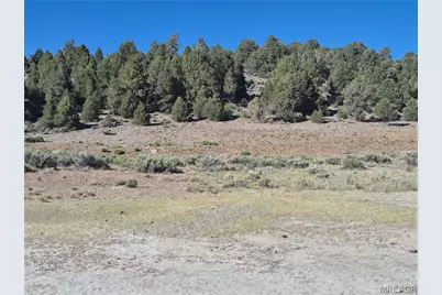 2787 Erwin Ranch Road, Big Bear City, CA 92314 - Photo 25