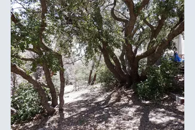 0 Holcomb Creek Drive, Green Valley Lake, CA 92341 - Photo 9