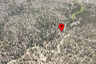 32311 Rim of the World Dr, Fawnskin, CA 92333 - Photo 47