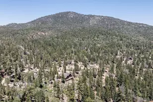 32311 Rim of the World Dr, Fawnskin, CA 92333 - Photo 53