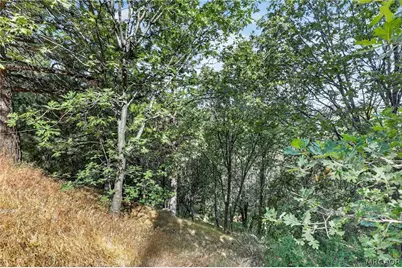 30308 Leprechaun Drive, Running Springs, CA 92382 - Photo 19