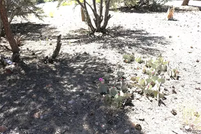 0 Pioneer Lane, Big Bear City, CA 92314 - Photo 13