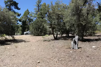 0 Pioneer Lane, Big Bear City, CA 92314 - Photo 7