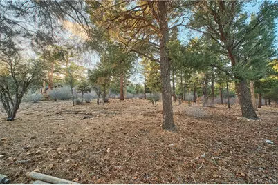 660 Cedar Glen Drive, Big Bear City, CA 92314 - Photo 1
