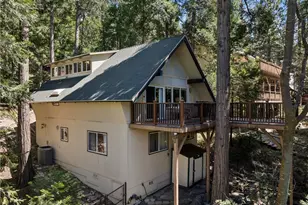 111 Grizzly Rd, Lake Arrowhead, CA 92317 - Photo 45