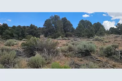00 Baldwin Lake Road, Big Bear City, CA 92314 - Photo 17