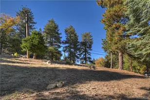 31162 All View Dr, Running Springs, CA 92382 - Photo 5