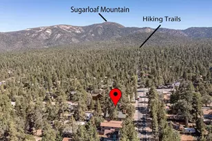 451 Maple Ln, Sugarloaf, CA 92386 - Photo 41