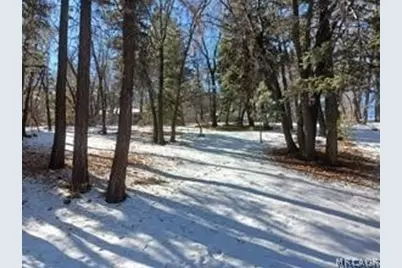 0 Columbine Drive, Big Bear City, CA 92314 - Photo 5