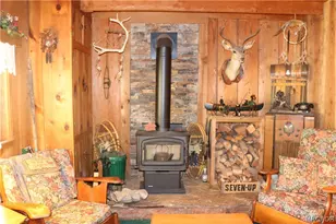 382 Stonehouse Rd, Big Bear Lake, CA 92315 - Photo 15