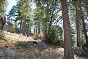 382 Stonehouse Rd, Big Bear Lake, CA 92315 - Photo 31