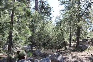 382 Stonehouse Rd, Big Bear Lake, CA 92315 - Photo 35
