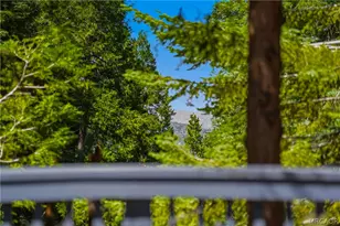 721 Ivy Ln, Lake Arrowhead, CA 92352 - Photo 37
