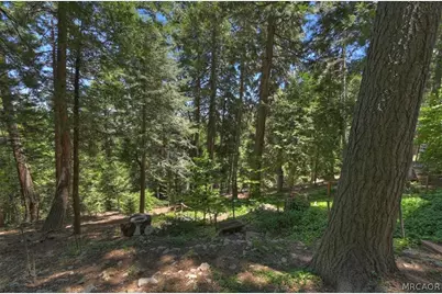 563 E Victoria Court, Lake Arrowhead, CA 92352 - Photo 41