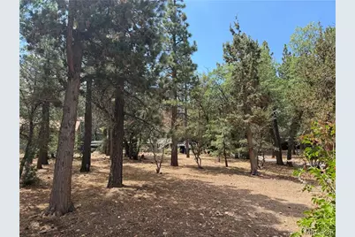 753 Vista Avenue, Sugarloaf, CA 92386 - Photo 3