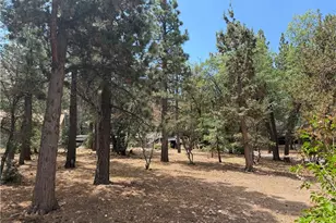 753 Vista Ave, Sugarloaf, CA 92386 - Photo 3