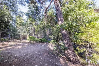 380 Dolly Varden Drive, Lake Arrowhead, CA 92352 - Photo 51