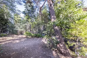 380 Dolly Varden Dr, Lake Arrowhead, CA 92352 - Photo 51
