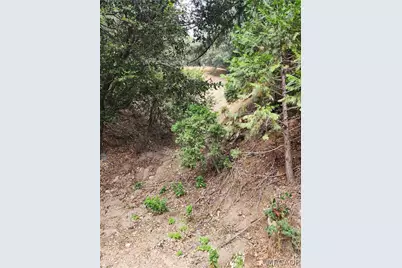 0 Fern Canyon Road, Cedarpines Park, CA 92322 - Photo 1
