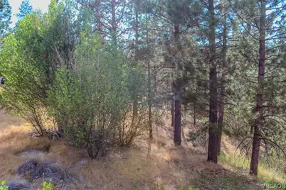 42048 Division Drive, Big Bear Lake, CA 92315 - Photo 5