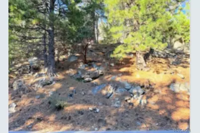 0 Thunderbird Drive, Cedar Glen, CA 92352 - Photo 5