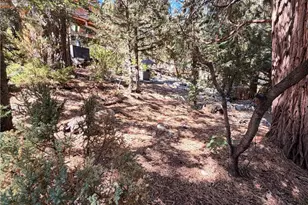 32778 Deer Lick Dr, Arrowbear, CA 92382 - Photo 27