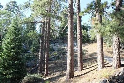 391 Pine Hill Drive, Fawnskin, CA 92333 - Photo 37