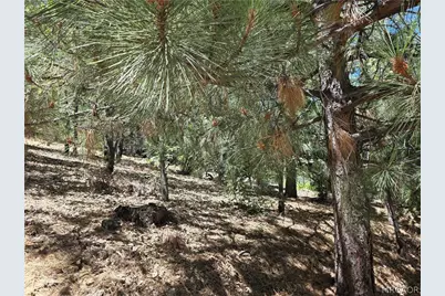 28276 Arbon Lane, Lake Arrowhead, CA 92352 - Photo 1