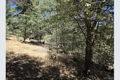 28276 Arbon Lane, Lake Arrowhead, CA 92352 - Photo 3