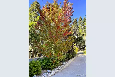 863 Oak Road, Lake Arrowhead, CA 92386 - Photo 23