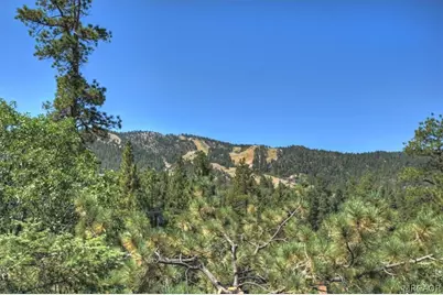 43446 Sheephorn Road, Big Bear Lake, CA 92315 - Photo 33