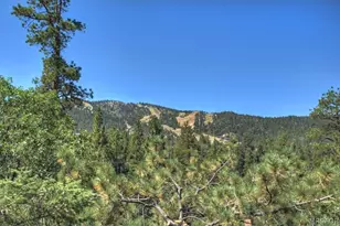 43446 Sheephorn Rd, Big Bear Lake, CA 92315 - Photo 33