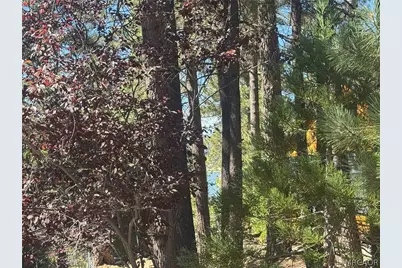 39158 Chincapin Road, Big Bear Lake, CA 92315 - Photo 49