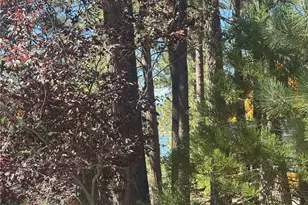 39158 Chincapin Rd, Big Bear Lake, CA 92315 - Photo 49