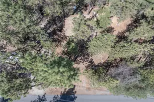 630 S Pine Ln, Sugarloaf, CA 92386 - Photo 5