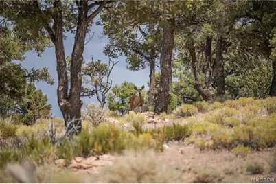 Eagle Ridge Erwin Lake Lane, Big Bear City, CA 92314 - Photo 11