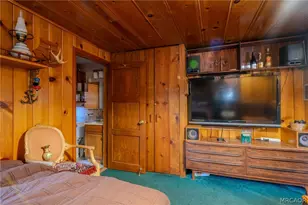 365 Georgia St, Big Bear Lake, CA 92315 - Photo 13
