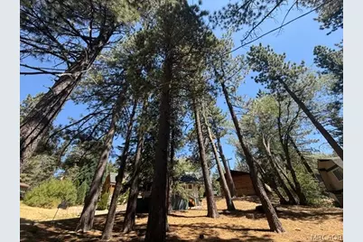 33390 Wild Rose Drive, Green Valley Lake, CA 92341 - Photo 27