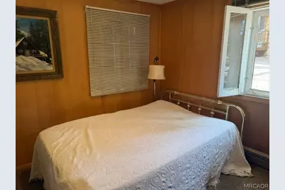 33390 Wild Rose Drive, Green Valley Lake, CA 92341 - Photo 21