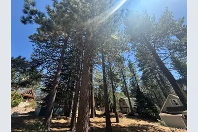 33390 Wild Rose Drive, Green Valley Lake, CA 92341 - Photo 25