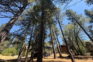 33390 Wild Rose Dr, Green Valley Lake, CA 92341 - Photo 29