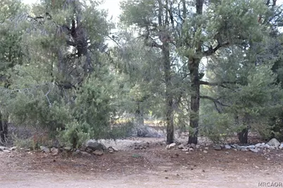 1172 Or 1160 1/2 Mound Street, Big Bear City, CA 92314 - Photo 57