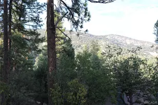 1172 Or 1160 1/2 Mound St, Big Bear City, CA 92314 - Photo 55