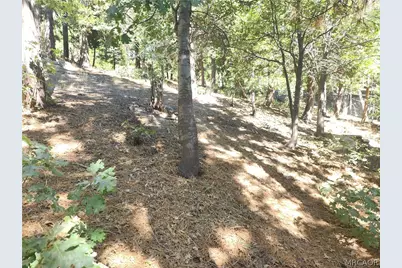 0 Grass Valley Road, Lake Arrowhead, CA 92352 - Photo 7