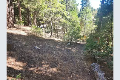 0 Grass Valley Road, Lake Arrowhead, CA 92352 - Photo 5